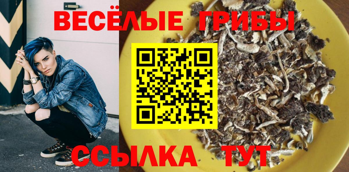 Псилоцибиновые грибы Psilocybe Петропавловск-Камчатский